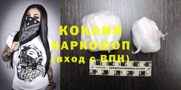 бошки Каменка