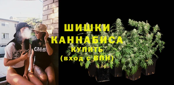 бошки Каменка