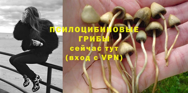 не бодяженный Каменногорск