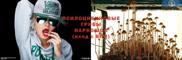 не бодяженный Каменногорск