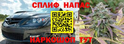хмурый Можга