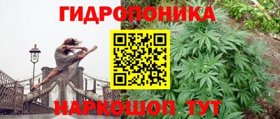 гидропоника Моздок