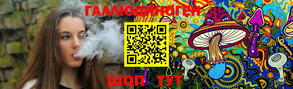 Галлюциногенные грибы Psilocybe  Вход с VPN  Майский 
