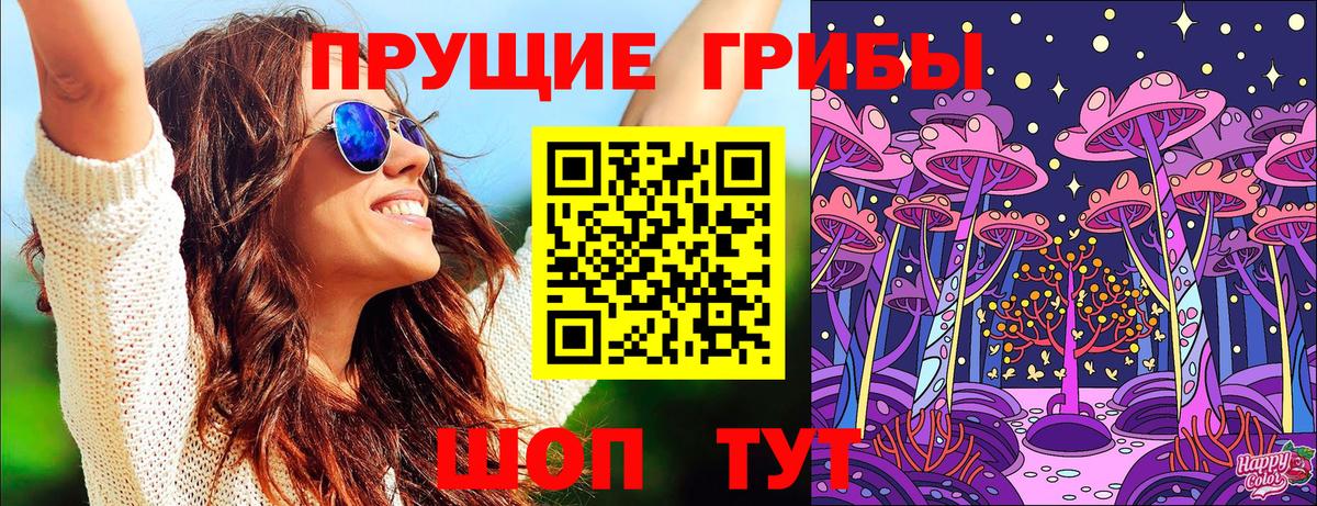 Псилоцибиновые грибы Psilocybe Майский